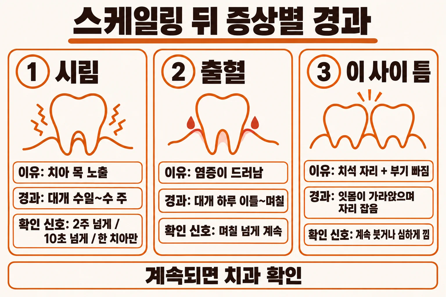 이채윤 원장이 치아 모형 앞에서 스케일링 뒤 시림과 잇몸 변화를 손으로 짚으며 설명하는 장면