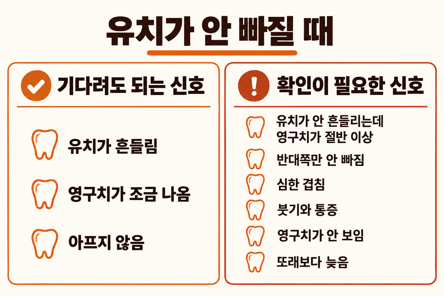 조세현 원장이 아래 앞니 유치와 그 뒤에서 올라오는 영구치를 단면 모형으로 보여주며 보호자에게 설명하는 장면