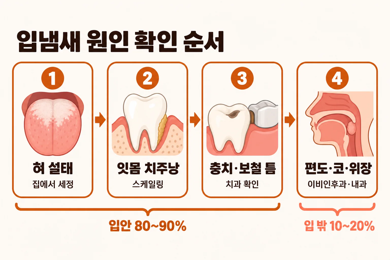 이채윤 원장이 혀 모형과 잇몸 단면 모형을 나란히 두고 입냄새 원인 두 곳을 설명하는 장면