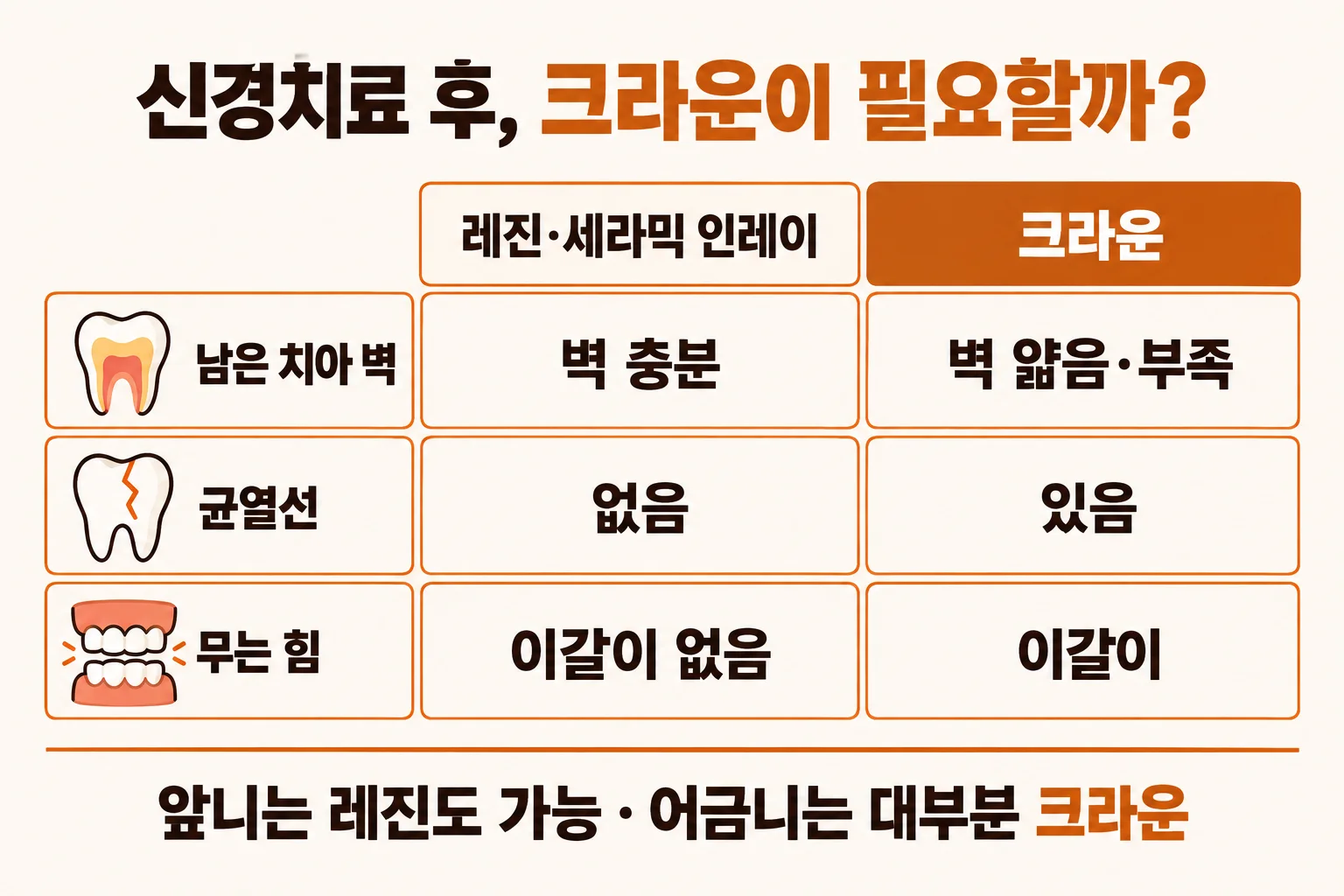 이채윤 원장이 신경치료를 마친 어금니 단면 모형을 들고 얇아진 치아 벽과 크라운이 덮는 범위를 설명하는 장면